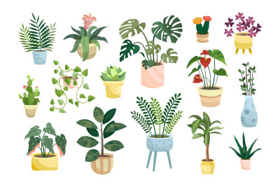Week 1: Exploring the World of Plants  - Introduction to Plants 